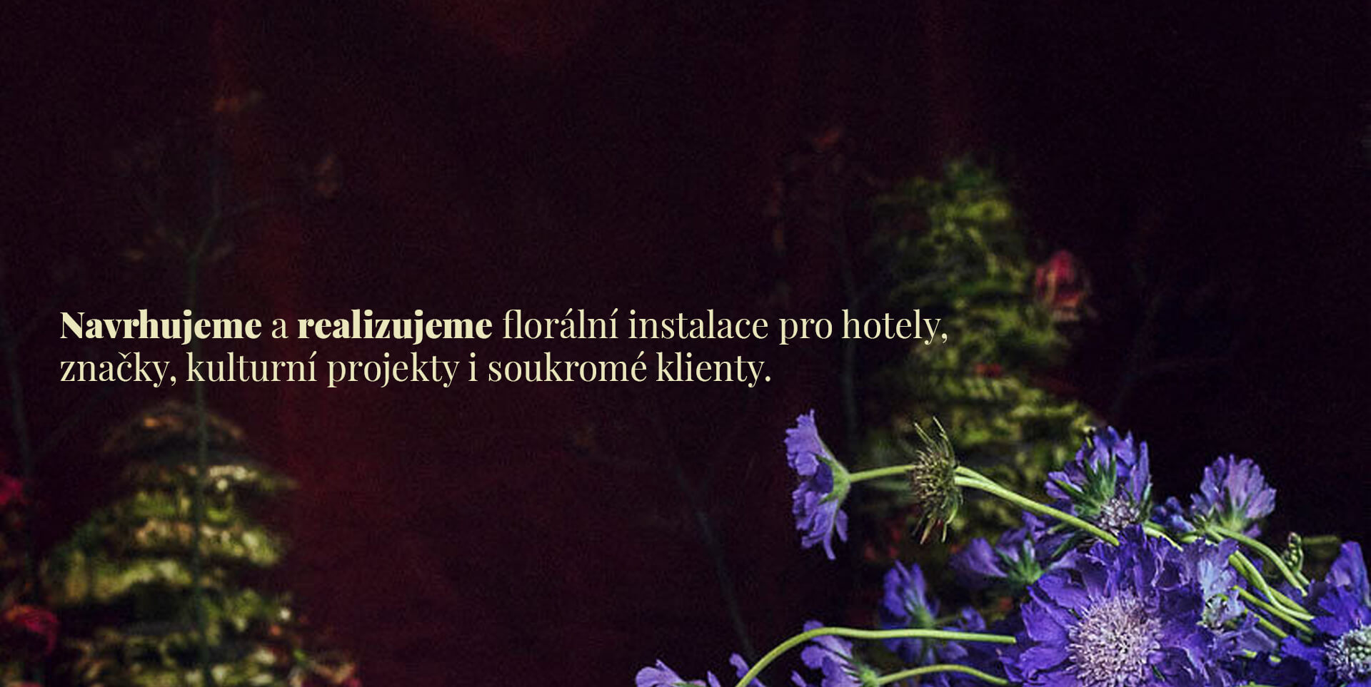 SPOLUPRÁCE-ČESKY-1oprava
