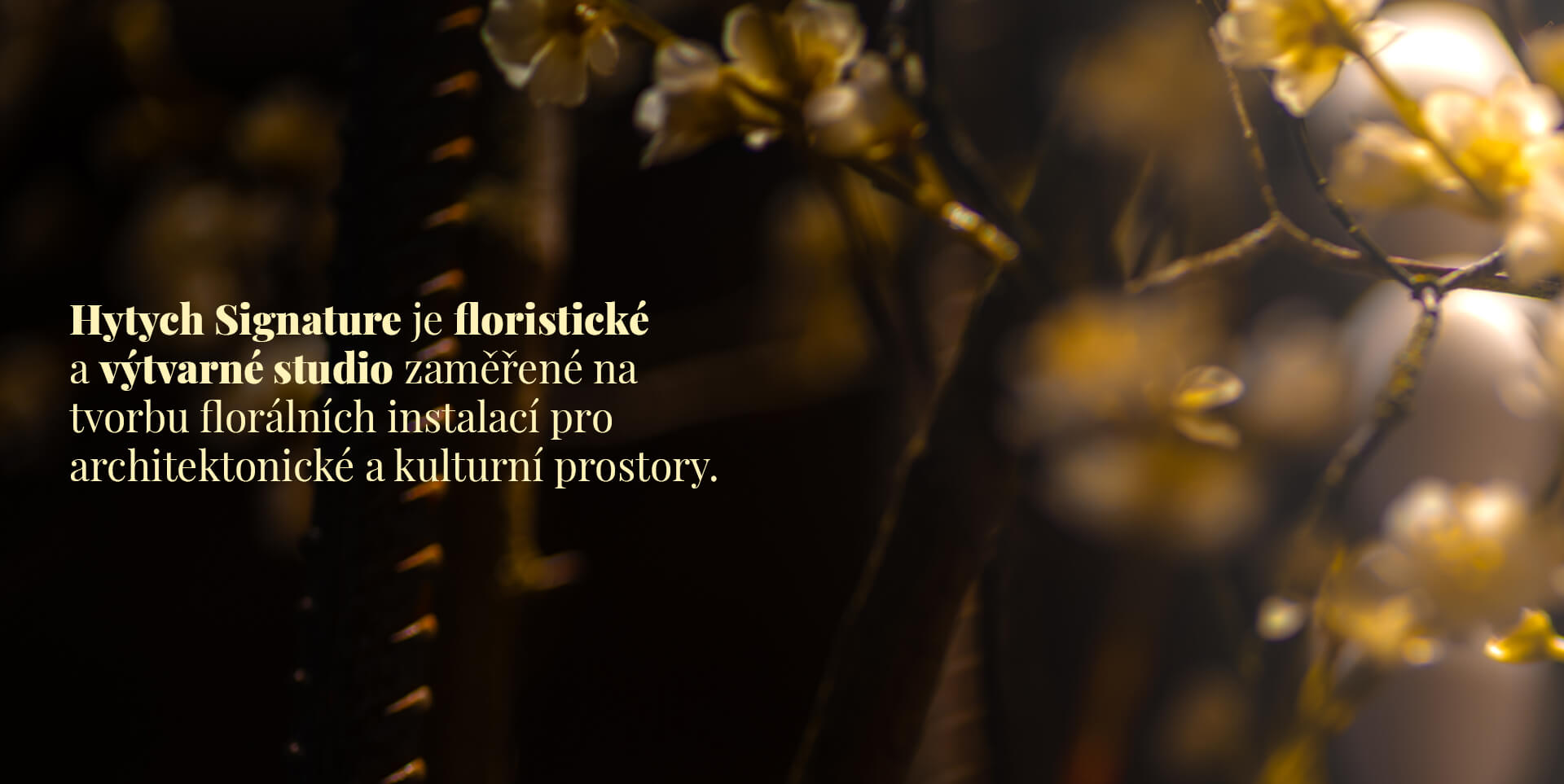 STUDIO-ČESKY-1oprava