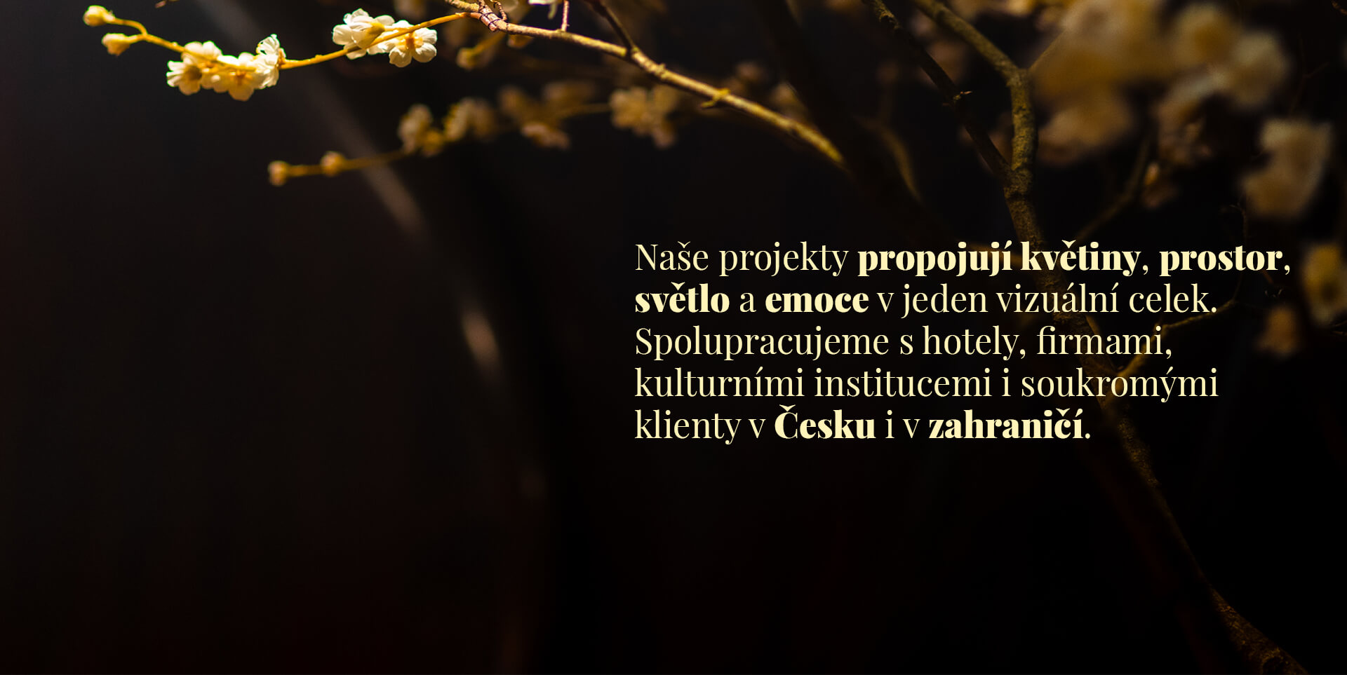 STUDIO-ČESKY-2oprava